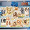Ravensburger Puzzle 1000 pc Obedient Dogs 3