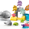 LEGO DUPLO Wild Animals of the Ocean 7