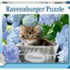 Ravensburger Puzzle 300 pc Tortoiseshell Kitty 3