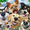 Ravensburger Puzzle 500 pc Selfies Dogs' Delight 5