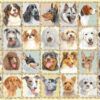 Ravensburger Puzzle 500 pc Dog Portraits 5