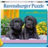 Ravensburger Puzzle 300 pc Puppies 3