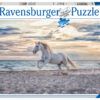 Ravensburger Puzzle 500 pc Horse on the Beach 3