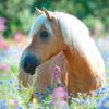 Ravensburger Puzzle 300 pc Horse in Flowers 5