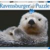 Ravensburger Puzzle 500 pc Otter 3