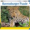 Ravensburger Puzzle 100 pc Exotic animal 3