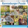 Ravensburger Puzzle 200 pc Baby Animals 3