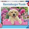 Ravensburger Puzzle 2x24 pc Furry Friends 3