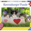 Ravensburger Puzzle 2x24 pc Cats 3
