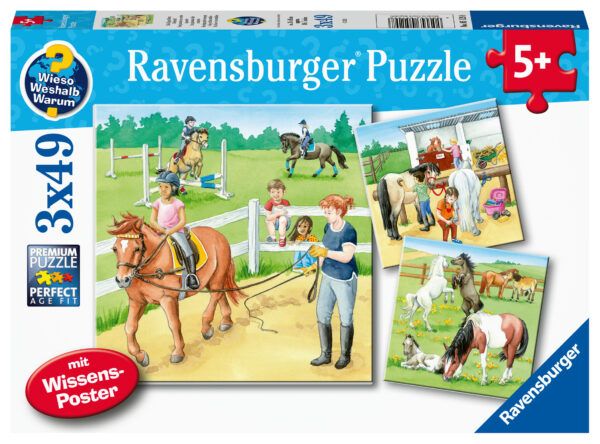 Ravensburger Puzzle 3x49 pc Horses 1