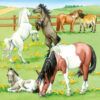 Ravensburger Puzzle 3x49 pc Horses 7