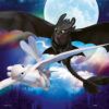 Ravensburger Puzzle 3x49 pc How to Train Your Dragon 5