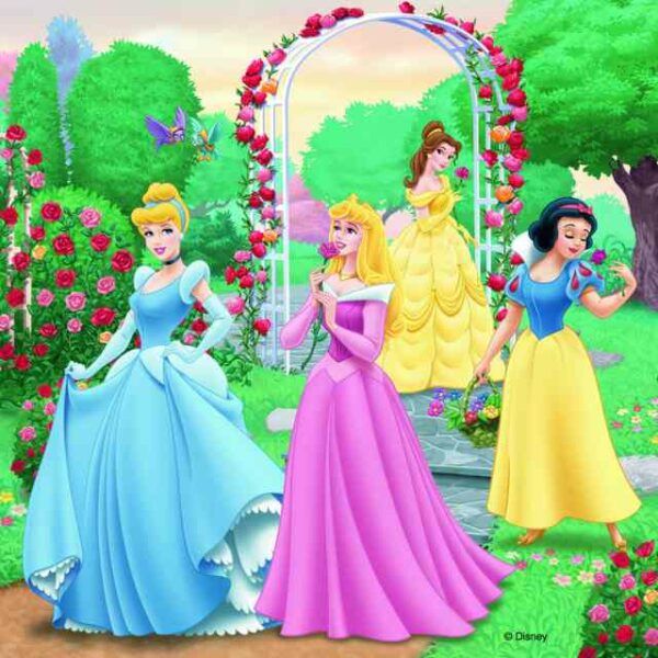 Ravensburger Puzzle 3x49 pc Disney Princess Dreams 1