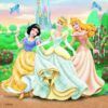 Ravensburger Puzzle 3x49 pc Disney Princess Dreams 5