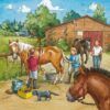 Ravensburger Puzzle 3x49 pc A Day with Horses Puzzle 7