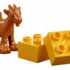 LEGO Education Animals 9