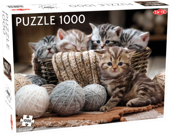 Tactic puzzle 1000 pc Cute Kittens 1