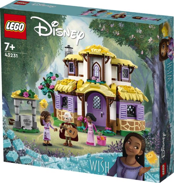 LEGO Disney Asha's Cottage 1