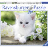 Ravensburger puzzle 1500 pcs White kitten 7