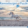 Ravensburger Puzzle 500 pc Horse on the Beach 7