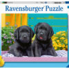 Ravensburger Puzzle 300 pc Puppies 7