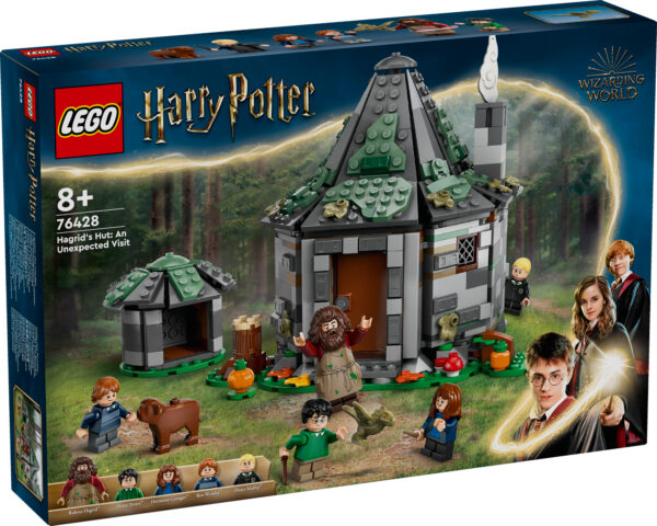LEGO Harry Potter Hagrid's Hut: An Unexpected Visit 1