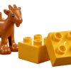 LEGO Education Animals 55