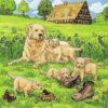 Ravensburger Puzzle 3x49 pc Cats and Dogs 21