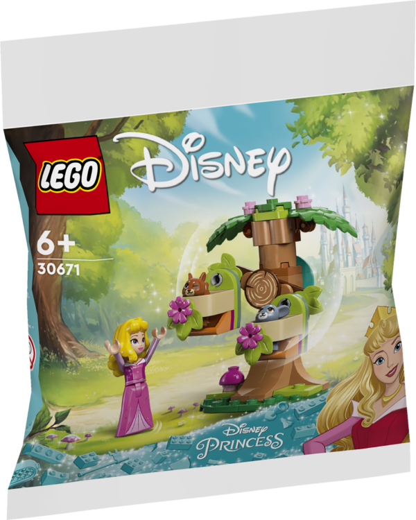 LEGO Disney Aurora's Forest Playground 1