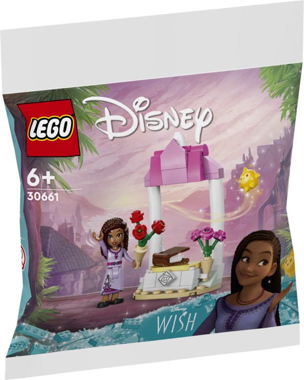 LEGO Disney Asha's Welcome Booth 1